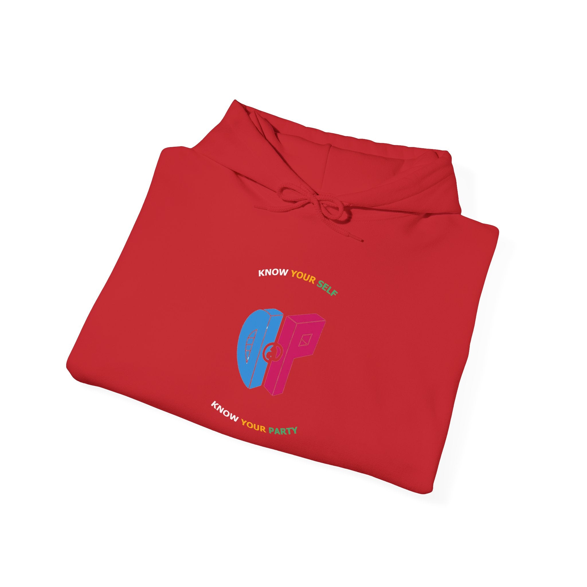 DaP Unisex Heavy Blend™ Hooded Sweatshirt