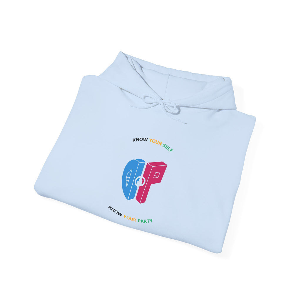 DaP Unisex Heavy Blend™ Hooded Sweatshirt