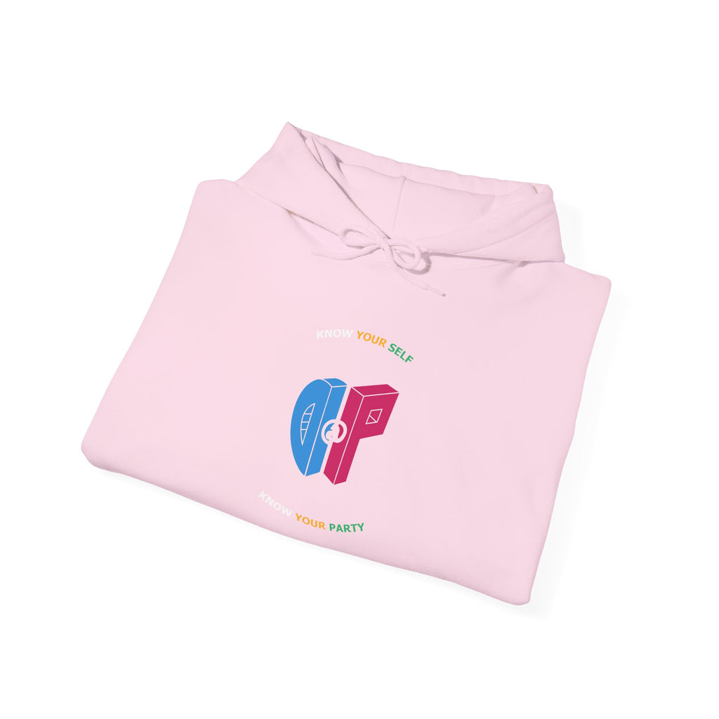 DaP Unisex Heavy Blend™ Hooded Sweatshirt